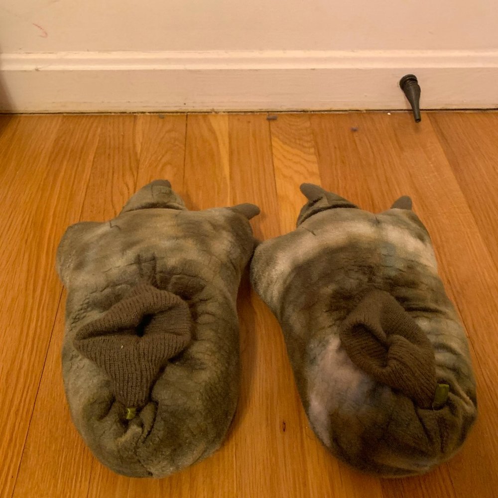 Dinosaur Slippers